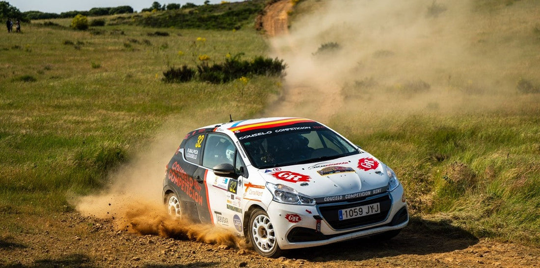 CERT REINO DE LEON 25