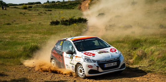 CERT REINO DE LEON 25